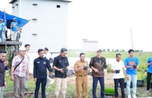 OJK dan Bank Kalsel Kompak Dukung Program Padi Apung di HSS