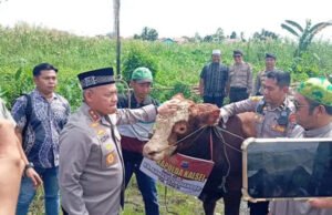 Kapolda Kalsel Sumbangkan Sapi Limousin untuk Haul ke-5 Guru Zuhdi