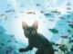 Flow (2024): Film Animasi Kucing yang Menyabet Oscar dan Memukau Dunia!