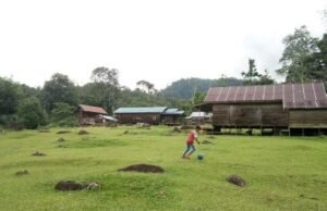 Viral! Desa Juhu, Permata Tersembunyi di Atas Awan Kalimantan Selatan