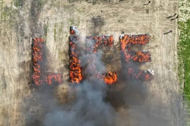 Bakar 20 Ton Ganja di Tengah Kota, Warga Lice Turki Mabuk Massal. Foto Dok Nett
