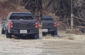 Cuma di Australia! Buaya Nyangkut di Mobil Pikap, Netizen: ‘Kayak Film Horor!