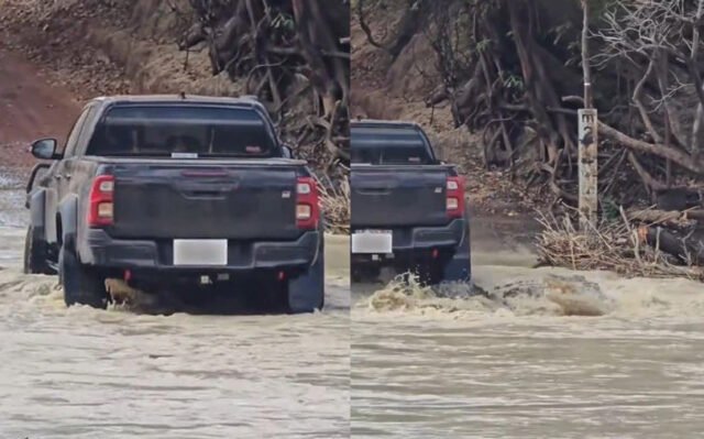 Sebuah mobil menabrak seekor buaya di salah satu penyeberangan paling mematikan di Australia. Foto: TikTok/matteo_mastratisi