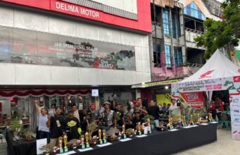Mini Contest Bonsai di Showroom Honda Delima Motor Sutoyo Meriahkan Bulan Kemerdekaan Puluhan Bonsai Artistik Ramaikan Mini Contest di Honda Delima Motor Sutoyo. Foto Dok Trio Motor