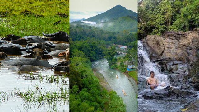 Dinas Pariwisata HSS Kembangkan Tiga Zona Wisata: Dari Loksado, Telaga Langsat hingga Kerbau Rawa