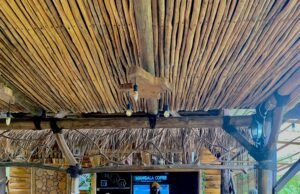 Mangala Coffee: Tempat Nongkrong Hits di Hulu Sungai Selatan, Sajikan Kopi dan Alam Sekaligus Mangala Coffee: Tempat Nongkrong Hits di Hulu Sungai Selatan, Sajikan Kopi dan Alam Sekaligus