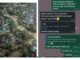 Diduga Ada Pungutan Rp20 Ribu/Jam untuk Starlink di Lokasi Banjir Aceh, Netizen Geram Starlink Turun Tangan Beri Respons Viral Pungli! Korban Banjir Sumatera Bayar Starlink Rp 20 Ribu/Jam: Padahal Gratis