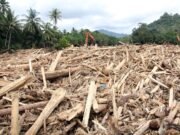 Viral Kayu Bernomor Hanyut di Banjir Sumatra, Publik Curiga Ada Pembalakan Liar Viral Kayu Bernomor Hanyut di Banjir Sumatra, Publik Curiga Ada Pembalakan Liar
