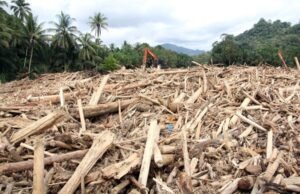 Viral Kayu Bernomor Hanyut di Banjir Sumatra, Publik Curiga Ada Pembalakan Liar Viral Kayu Bernomor Hanyut di Banjir Sumatra, Publik Curiga Ada Pembalakan Liar