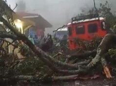 Longsor Terjang Kawasan Bromo, Jalur Wisata Wonokitri ke Penanjakan Terhambat Bukit di Gunung Bromo longsor/Foto: Istimewa