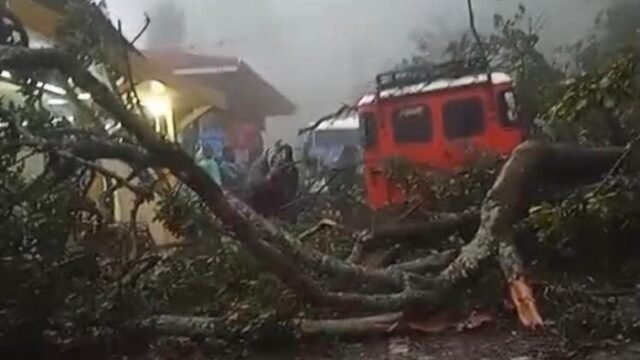 Bukit di Gunung Bromo longsor/Foto: Istimewa