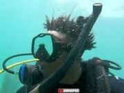 IShowSpeed Viral Lagi, Live Streaming dari Dasar Laut Bikin Geger Dunia Maya IShowSpeed Viral Lagi, Live Streaming dari Dasar Laut Bikin Geger Dunia Maya