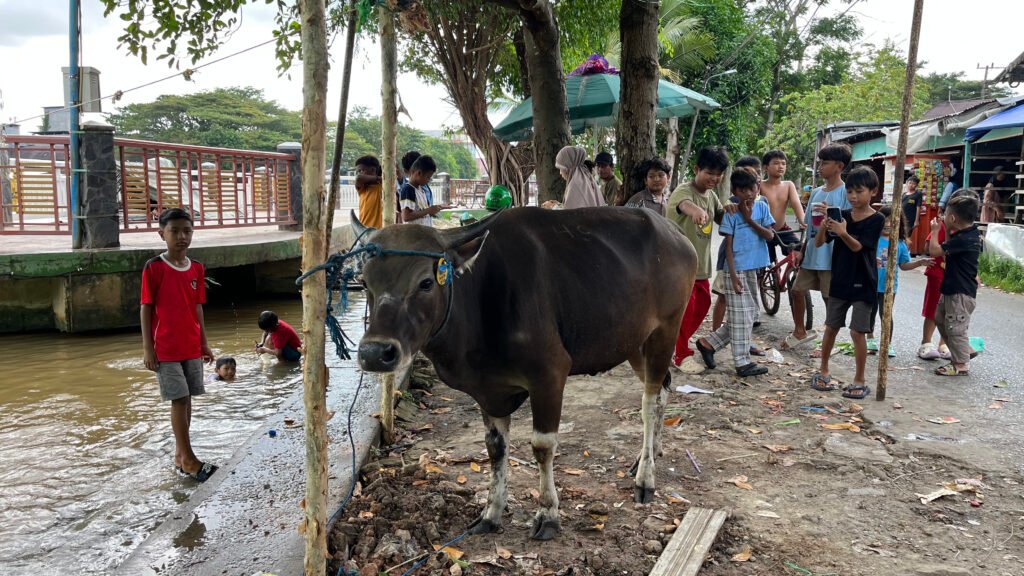 Wujud Kepedulian Sosial, PT Trio Motor Berbagi Kebahagiaan Iduladha di Sungai Baru. Foto Dok Istimewa