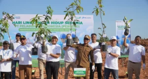 Pemkot Banjarmasin dan Pelindo Tanam 2.500 Pohon di TPA Basirih, Wujudkan Lingkungan Lebih Hijau Wali Kota Banjarmasin H. M. Yamin HR bersama jajaran Pemkot dan PT Pelindo Regional 3 Sub Regional Kalimantan menanam bibit pohon di kawasan TPA Basirih. Foto Dok Istimewa
