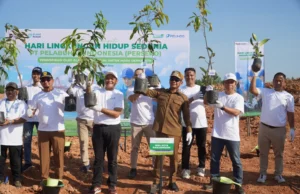 Pemkot Banjarmasin dan Pelindo Tanam 2.500 Pohon di TPA Basirih, Wujudkan Lingkungan Lebih Hijau Wali Kota Banjarmasin H. M. Yamin HR bersama jajaran Pemkot dan PT Pelindo Regional 3 Sub Regional Kalimantan menanam bibit pohon di kawasan TPA Basirih. Foto Dok Istimewa