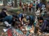 Orangutan Sampurna Ditemukan Tak Sadarkan Diri di Kebun Sawit Ketapang, Diduga Terpapar Asap Karhutla Tim Penyelamat Evakuasi Orangutan Sampurna dari Perkebunan Sawit di Ketapang. Foto Dok YIARI