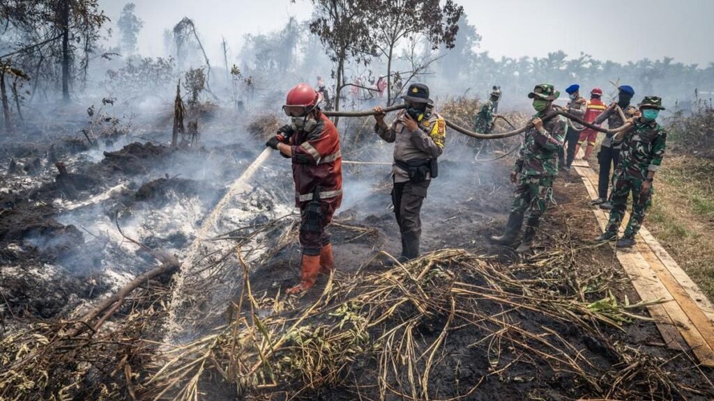 Pemerintah Daerah Provinsi Riau bersama institusi terkait telah berhasil menekan luasan area kebakaran hutan dan lahan (karhutla) dari sekitar 16.000 hektare menjadi tersisa sekitar 900 hektare sepanjang Januari hingga Agustus 2026. (ANTARA FOTO/Bayu Pratama S)