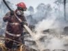Karhutla di Sekitar IKN Meningkat, 470 Kejadian Capai 1.393 Hektare Kebakaran cepat meluas karena angin kencang, cuaca panas, dan lahan gambut yang kering serta rawan terbakar. Namun, pemadaman terkendala sumber air. (ANTARA FOTO/Bayu Pratama S)