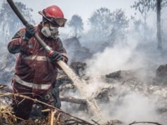 Karhutla di Sekitar IKN Meningkat, 470 Kejadian Capai 1.393 Hektare Kebakaran cepat meluas karena angin kencang, cuaca panas, dan lahan gambut yang kering serta rawan terbakar. Namun, pemadaman terkendala sumber air. (ANTARA FOTO/Bayu Pratama S)