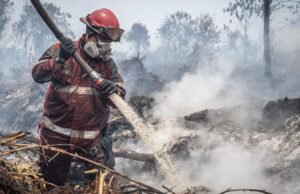 Karhutla di Sekitar IKN Meningkat, 470 Kejadian Capai 1.393 Hektare Kebakaran cepat meluas karena angin kencang, cuaca panas, dan lahan gambut yang kering serta rawan terbakar. Namun, pemadaman terkendala sumber air. (ANTARA FOTO/Bayu Pratama S)