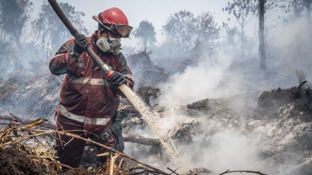 Kebakaran cepat meluas karena angin kencang, cuaca panas, dan lahan gambut yang kering serta rawan terbakar. Namun, pemadaman terkendala sumber air. (ANTARA FOTO/Bayu Pratama S) Kebakaran cepat meluas karena angin kencang, cuaca panas, dan lahan gambut yang kering serta rawan terbakar. Namun, pemadaman terkendala sumber air. (ANTARA FOTO/Bayu Pratama S)