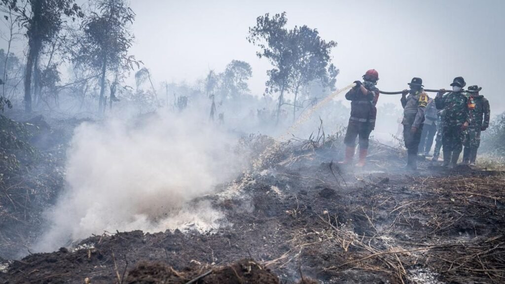 Kebakaran hutan dan lahan melanda Kecamatan Tambang, Kabupaten Kampar, Riau ini sudah memasuki hari ke 13 atau sejak awal Agustus 2026. (ANTARA FOTO/Bayu Pratama S)