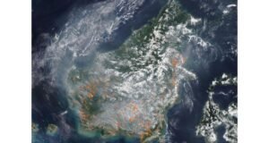 Citra Satelit NASA Tunjukkan Kalimantan Diselimuti Putih di Tengah Ancaman Karhutla Citra satelit NOAA-20 menunjukkan Kalimantan diselimuti asap akibat karhutla. Terdapat 1.106 titik panas terdeteksi, menandakan peningkatan kebakaran. (Foto: Nasa World View)