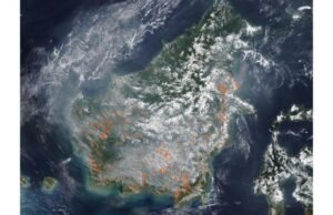 Citra Satelit NASA Tunjukkan Kalimantan Diselimuti Putih di Tengah Ancaman Karhutla Citra satelit NOAA-20 menunjukkan Kalimantan diselimuti asap akibat karhutla. Terdapat 1.106 titik panas terdeteksi, menandakan peningkatan kebakaran. (Foto: Nasa World View)