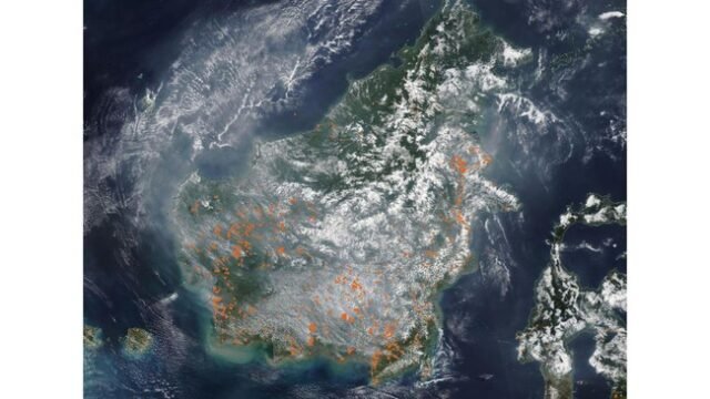 Citra satelit NOAA-20 menunjukkan Kalimantan diselimuti asap akibat karhutla. Terdapat 1.106 titik panas terdeteksi, menandakan peningkatan kebakaran. (Foto: Nasa World View) Citra satelit NOAA-20 menunjukkan Kalimantan diselimuti asap akibat karhutla. Terdapat 1.106 titik panas terdeteksi, menandakan peningkatan kebakaran. (Foto: Nasa World View)