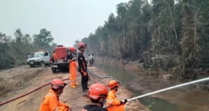 BPBD Banjarmasin Bantu Padamkan Karhutla di Banjar dan Batola Sepanjang September Personel BPBD Kota Banjarmasin melakukan pemadaman karhutla dengan memanfaatkan sumber air di sekitar lokasi kebakaran. Foto Dok Istimewa