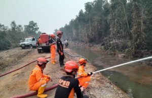 BPBD Banjarmasin Bantu Padamkan Karhutla di Banjar dan Batola Sepanjang September Personel BPBD Kota Banjarmasin melakukan pemadaman karhutla dengan memanfaatkan sumber air di sekitar lokasi kebakaran. Foto Dok Istimewa
