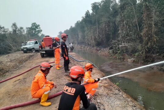BPBD Banjarmasin Bantu Padamkan Karhutla di Banjar dan Batola Sepanjang September Personel BPBD Kota Banjarmasin melakukan pemadaman karhutla dengan memanfaatkan sumber air di sekitar lokasi kebakaran. Foto Dok Istimewa