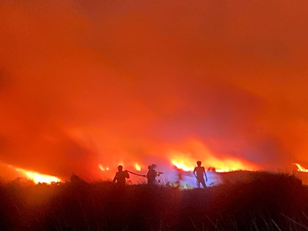 Kobaran api terlihat membakar lahan saat proses penanganan kebakaran hutan dan lahan berlangsung pada malam hari. Foto Dok Istimewa