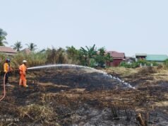 Karhutla Banjarmasin Capai 71 Kejadian, Penanganan Diperkuat dari Darat dan Udara Petugas BPBD Banjarmasin Padamkan Karhutla di Lahan Terbakar. Foto Dok Istimewa