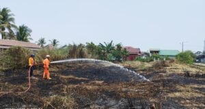 Karhutla Banjarmasin Capai 71 Kejadian, Penanganan Diperkuat dari Darat dan Udara Petugas BPBD Banjarmasin Padamkan Karhutla di Lahan Terbakar. Foto Dok Istimewa