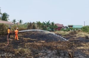 Karhutla Banjarmasin Capai 71 Kejadian, Penanganan Diperkuat dari Darat dan Udara Petugas BPBD Banjarmasin Padamkan Karhutla di Lahan Terbakar. Foto Dok Istimewa