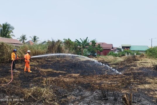 Karhutla Banjarmasin Capai 71 Kejadian, Penanganan Diperkuat dari Darat dan Udara Petugas BPBD Banjarmasin Padamkan Karhutla di Lahan Terbakar. Foto Dok Istimewa