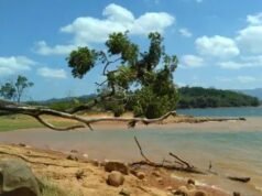 Pria Dilaporkan Tenggelam di Bunglai Aranio Banjar, Pencarian Masih Dilakukan ILUSTRASI - Waduk Riam Kanan. Seorang pria dilaporkan tenggelam di waduk Aranio Riam Kanan Kabupaten Banjar, Kamis (8/101/2026).
